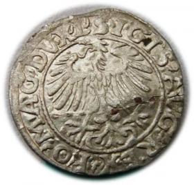 Picture 2 for: Półgrosz 1557 Zygmunt II August Wilno