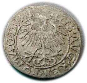 Picture 2 for: Półgrosz 1557 Zygmunt II August Wilno