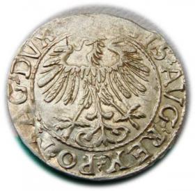 Picture 2 for: Half groschen 1557 Sigismund II Augustus Vilnius