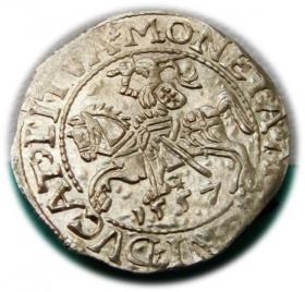 Picture for: Półgrosz 1557 Zygmunt II August Wilno