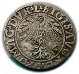 Picture 2 for: Półgrosz 1558 Zygmunt II August Wilno