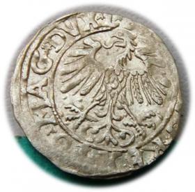 Picture 2 for: Half groschen 1558 Sigismund II Augustus Vilnius