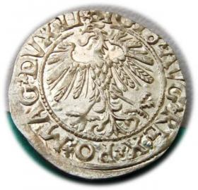 Picture 2 for: Półgrosz 1558 Zygmunt II August Wilno