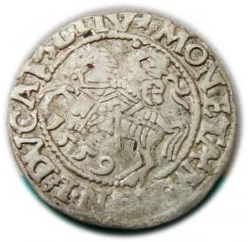Picture for: Półgrosz 1559 Zygmunt II August Wilno