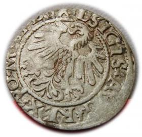 Picture 2 for: Półgrosz 1559 Zygmunt II August Wilno