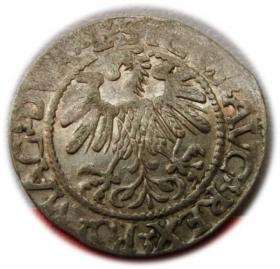 Picture 2 for: Półgrosz 1559 Zygmunt II August Wilno