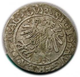 Picture 2 for: Półgrosz 1559 Zygmunt II August Wilno