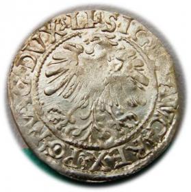 Picture 2 for: Półgrosz 1559 Zygmunt II August Wilno