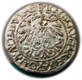 Picture 2 for: Half groschen 1559 Sigismund II Augustus Vilnius