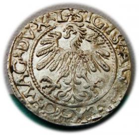 Picture 2 for: Half groschen 1559 Sigismund II Augustus Vilnius