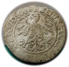 Picture 2 for: Półgrosz 1560 Zygmunt II August Wilno