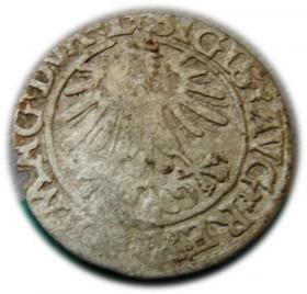 Picture 2 for: Półgrosz 1560 Zygmunt II August Wilno