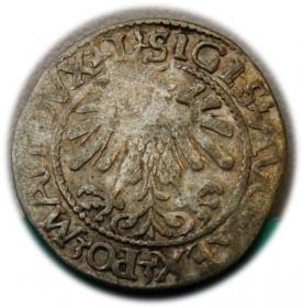 Picture 2 for: Półgrosz 1560 Zygmunt II August Wilno