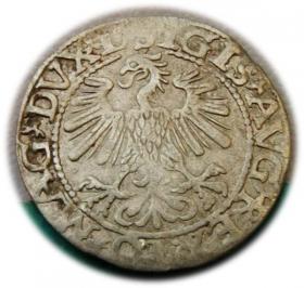 Picture 2 for: Half groschen 1560 Sigismund II Augustus Vilnius