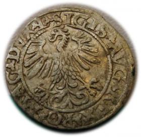 Picture 2 for: Półgrosz 1560 Zygmunt II August Wilno