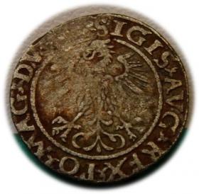 Picture 2 for: Półgrosz 1560 Zygmunt II August Wilno