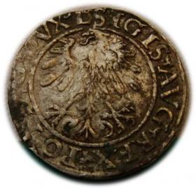 Picture 2 for: Półgrosz 1560 Zygmunt II August Wilno