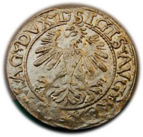 Picture 2 for: Półgrosz 1560 Zygmunt II August Wilno