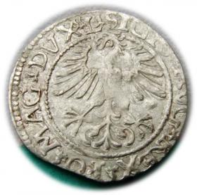 Picture 2 for: Półgrosz 1561 Zygmunt II August Wilno