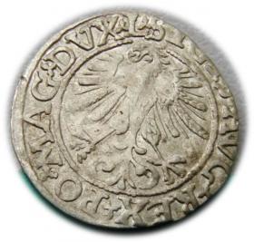 Picture 2 for: Półgrosz 1561 Zygmunt II August Wilno