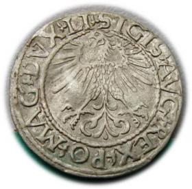 Picture 2 for: Półgrosz 1561 Zygmunt II August Wilno