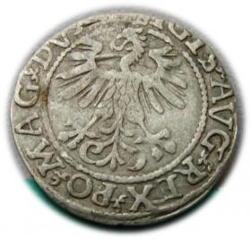 Picture 2 for: Half groschen 1561 Sigismund II Augustus Vilnius