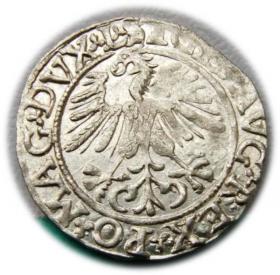 Picture 2 for: Półgrosz 1561 Zygmunt II August Wilno