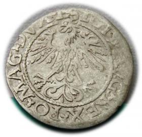 Picture 2 for: Półgrosz 1562 Zygmunt II August Wilno