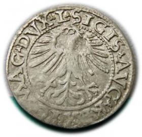 Picture 2 for: Half groschen 1562 Sigismund II Augustus Vilnius