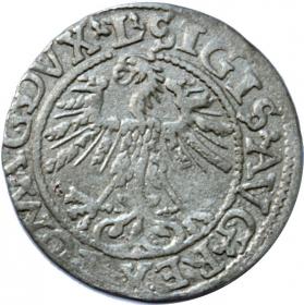 Picture 2 for: Half groschen 1562 Sigismund II Augustus Vilnius