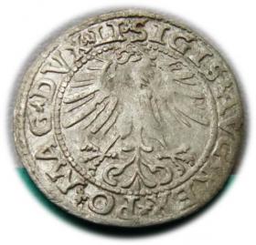 Picture 2 for: Półgrosz 1563 Zygmunt II August Wilno