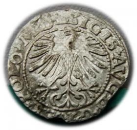 Picture 2 for: Półgrosz 1563 Zygmunt II August Wilno