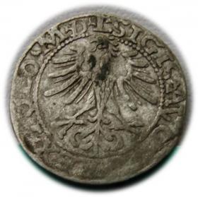 Picture 2 for: Półgrosz 1564 Zygmunt II August Wilno