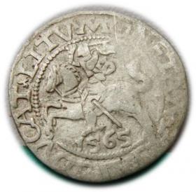 Picture for: Półgrosz 1565 Zygmunt II August Wilno