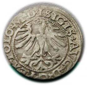 Picture 2 for: Półgrosz 1565 Zygmunt II August Wilno