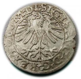 Picture 2 for: Półgrosz 1565 Zygmunt II August Wilno