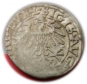 Picture 2 for: Half groschen 1557 Sigismund II Augustus Vilnius