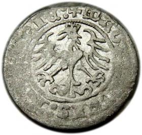 Picture 2 for: Półgrosz 1515 Zygmunt I Stary Wilno