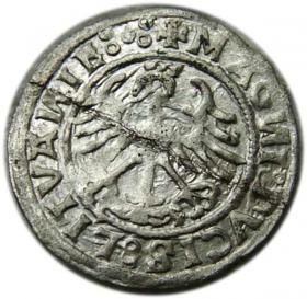 Picture 2 for: Półgrosz 1520 Zygmunt I Stary Wilno