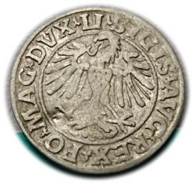Picture 2 for: Półgrosz 1547 Zygmunt II August Wilno
