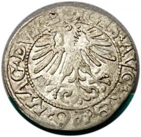 Picture 2 for: Półgrosz 1562 Zygmunt II August Wilno