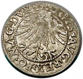 Picture 2 for: Półgrosz 1563 Zygmunt II August Wilno