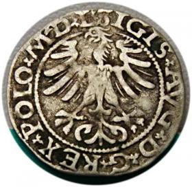 Picture 2 for: Półgrosz 1565 Zygmunt II August Wilno