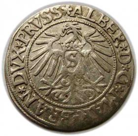 Grosz 1537 Albrecht Hohenzollern Księstwo Pruskie Królewiec