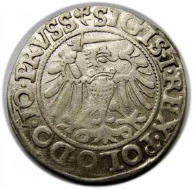Picture 2 for: Groschen 1540 Sigismund I the Old Elbląg