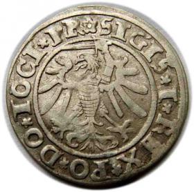 Picture 2 for: Groschen 1534 Sigismund I the Old Elbląg