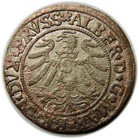 Picture 2 for: Groschen 1532 Albert of Prussia Duchy of Prussia Kaliningrad