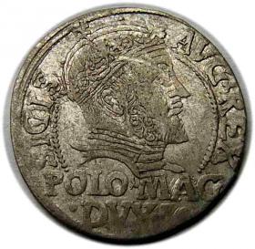 Grosz litewski na stopę polską 1547 Zygmunt II August Wilno