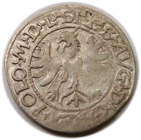 Picture 2 for: Półgrosz 1566 Zygmunt II August Litwa Tykocin