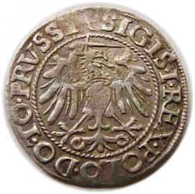 Picture 2 for: Grosz 1540 Zygmunt I Stary Elbląg